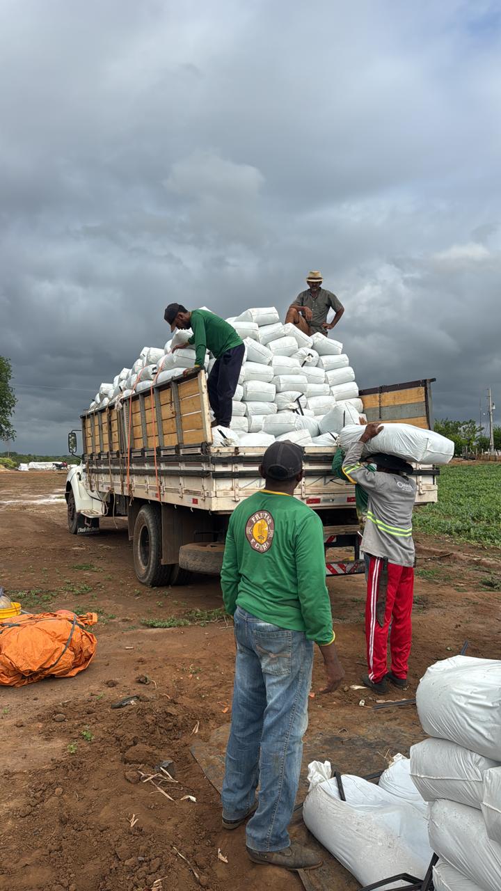Equipe com uniforme da Fazenda Freitas e Cunha carregando caminhão