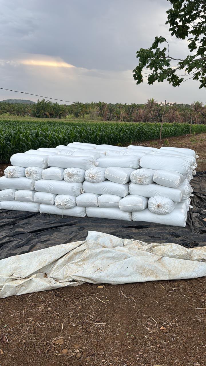 Área de manejo da Fazenda Freitas e Cunha